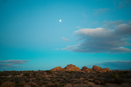 Desert landscape with moon overhead
