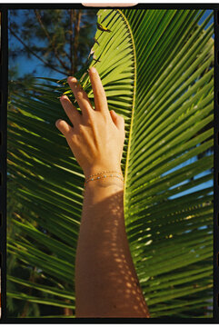closeup anonymous hand touching palm leaf sunlight tattoo and jewely
