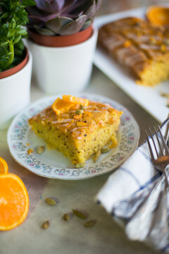 Glazed Orange and Poppy Seed Cake Slice with Cardamom and Succulents