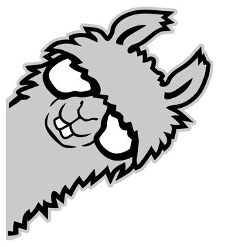 A smug, nerdy llama peeking around the corner with glasses and a self-satisfied grin. Hilarious for anyone who loves quirky animal humor, nerd culture and that unmistakable know-it-all energy.