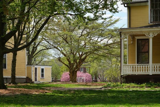 Early spring in Nolan Park on Governors Island.