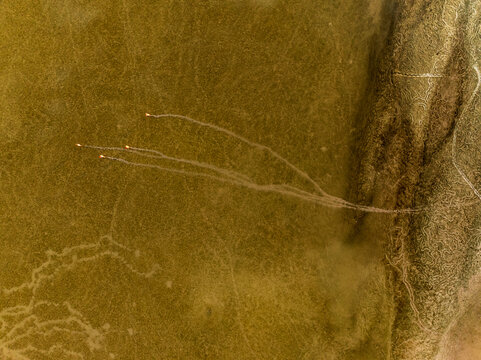 Aerial view of Peninsula de Yucatan featuring small vehicles leaving long winding tracks across a vast golden landscape under warm light in Yucatan, Mexico.