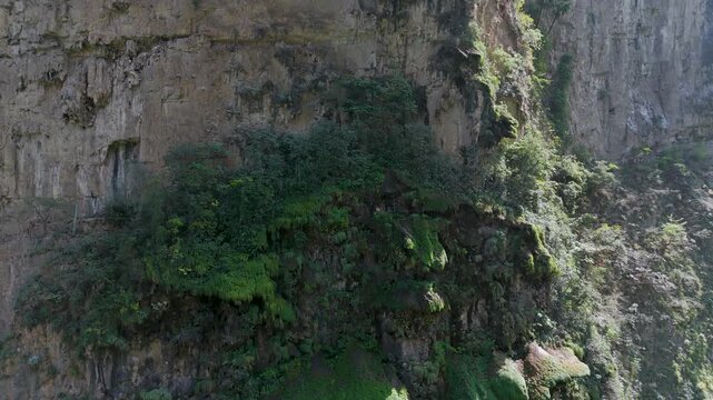 Iconic "&Aacute;rbol de Navidad" (Christmas Tree) moss-covered rock formation with water trickling down into the Sumidero Canyon at Grijalva River, Chiapas. Mexico.