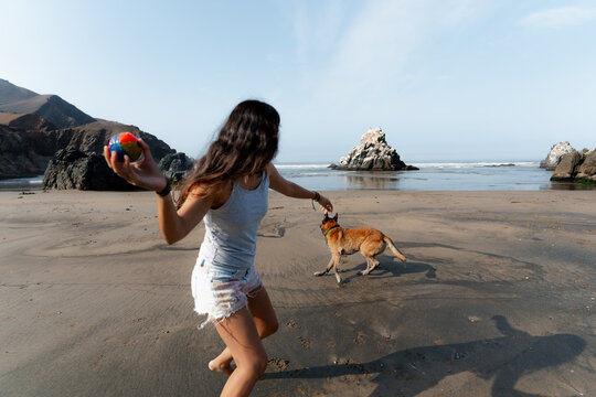 Throwing Ball to Dog on Beach