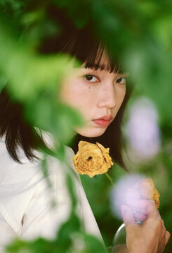 Chinese girl holding dried rose under a tree in garden,closeup