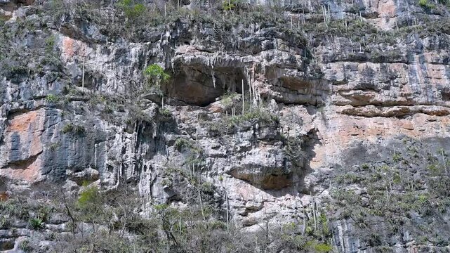 Unique Seahorse rock formation on the cliffs of Sumidero Canyon Chiapas Mexico.