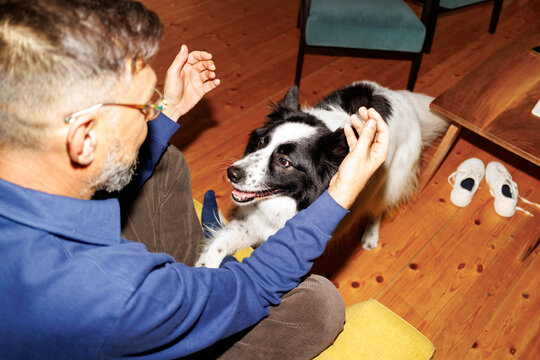 Cozy dog play session