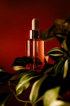 Glass Cosmetic Bottle with plant