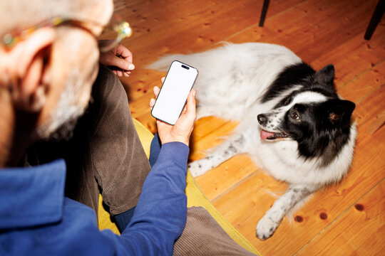 Scrolling with dog nearby