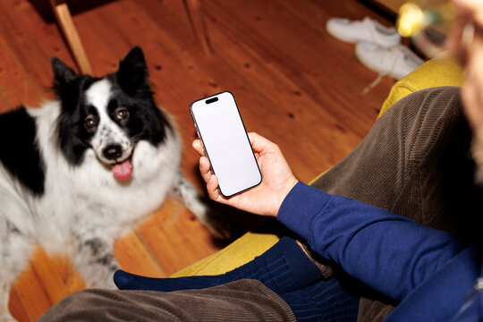 Scrolling with dog nearby