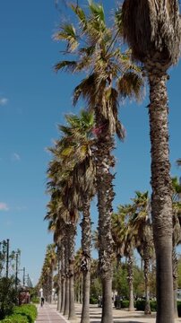 Rows of palm trees at Malvarrosa beach with people riding scooters along a coastal bike path under bright sun and blue sky in Valencia, Spain.