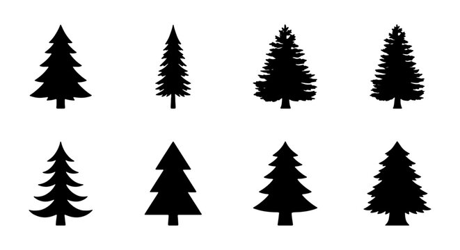 Pine tree silhouette collection, 8 evergreen forest icons, black spruce vector set
