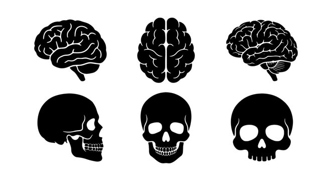 Human brain and skull icons, black silhouette anatomy set, medical vector illustrations