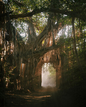 Entrance gate in the Ranthambore Tiger Reserve