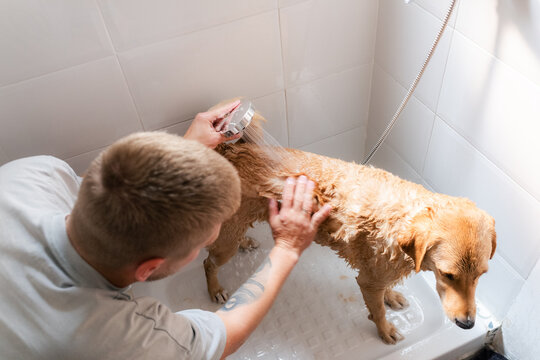 Man rinsing dogs fur with water