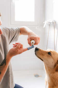 Man squeezing dogs toothpaste on toothbrush 