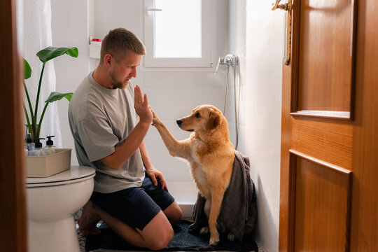 Dog giving high five to its owner after shower 
