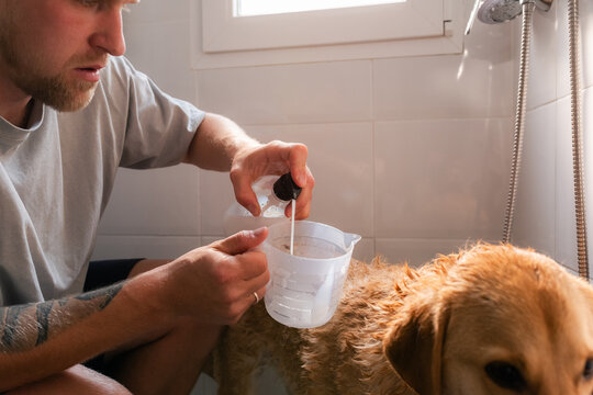 Man pouring dogs shampoo in cup