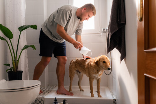 Man washing his dog in shower 