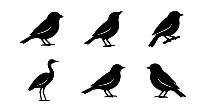 Black bird silhouette collection, 6 songbird vector icons, wild avian nature shapes