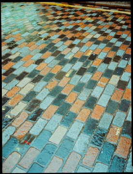 Colorful Brick Pavement Shows Water After Rain