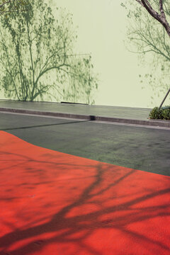 Tree Shadow on Green Wall and Red Pavement