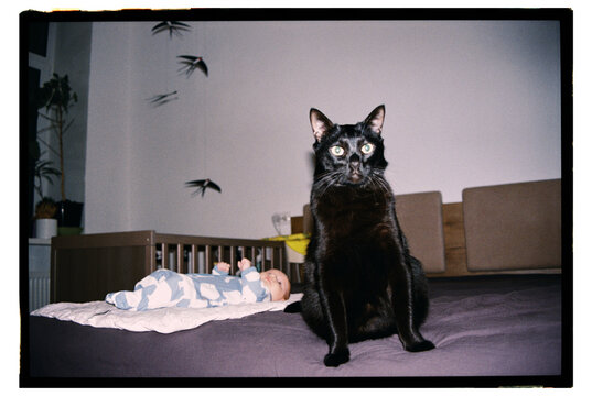 Black cat watches baby on bed in living room