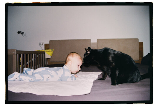 Baby and cat playtime in bedroom during day