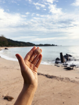 Anonymous hand holds a pretty shell