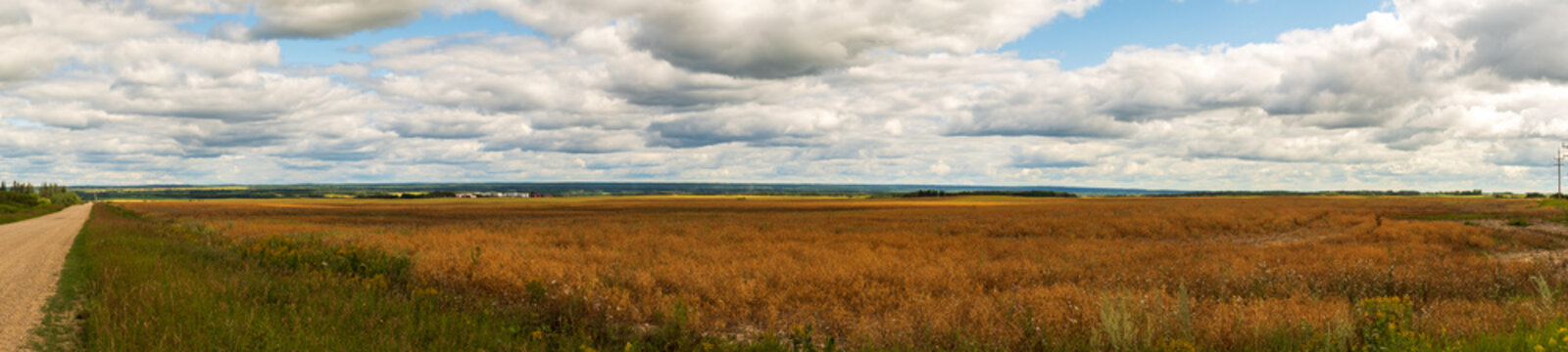 Panoramic of Saskatchewan Prairies in Fall