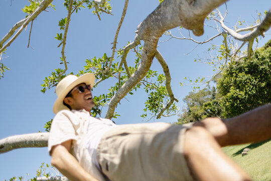 UGC Man lo de man es solo en las keywords si en Tree Branch Low Angle