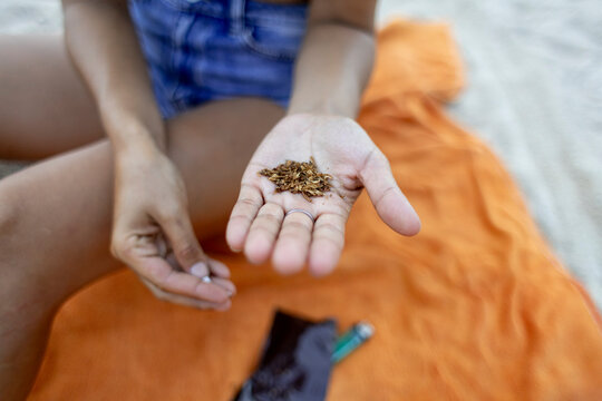 Hand holding loose tobacco