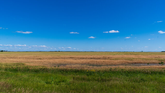 Saskatchewan Prairies Under Summer Skies