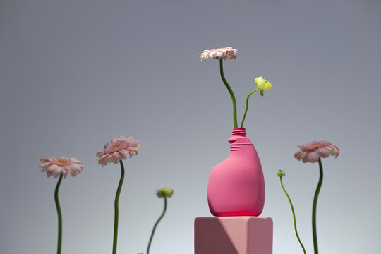 Minimalist pink vase holding pale gerbera daisies on a raised plinth