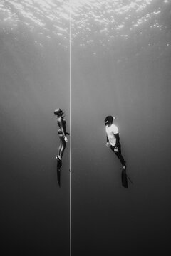 Elite freedivers aligned on depth line in open water