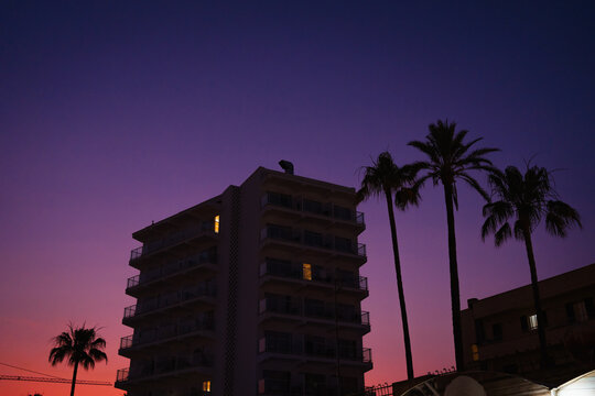 Colorful sky over the buildings and palm trees at dusk