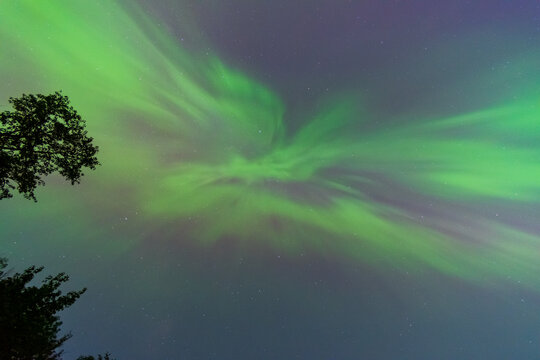 Northern Glow Above the Pines
