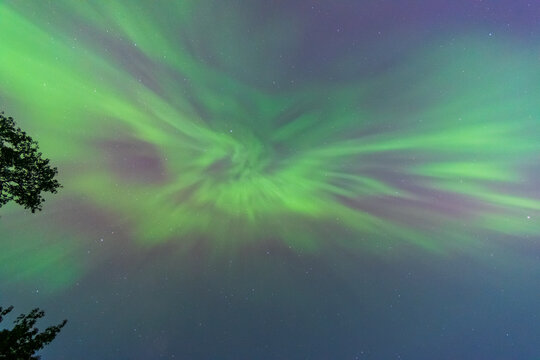 Swirling Northern Lights Above the Pines