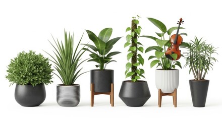 Fototapeta premium Assortment of Potted Houseplants and a Violin in a Studio Shot