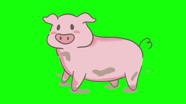 Cute Cartoon Pink Pig Splashing in Mud Puddles Green Screen
