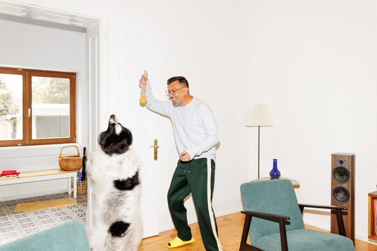 Dog play