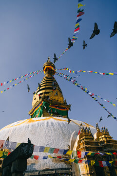 Swayambhunath Monkey Temple in Nepal
