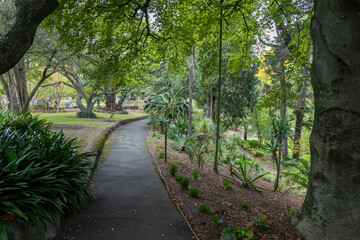 Fototapeta premium A lush botanical garden in Napier, Hawkes Bay, New Zealand, surrounded by diverse flora and mature trees.