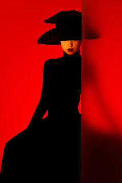 Portrait of a stylish woman with a Chinese New Year theme