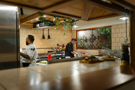 Professional chefs preparing meals in restaurant kitchen