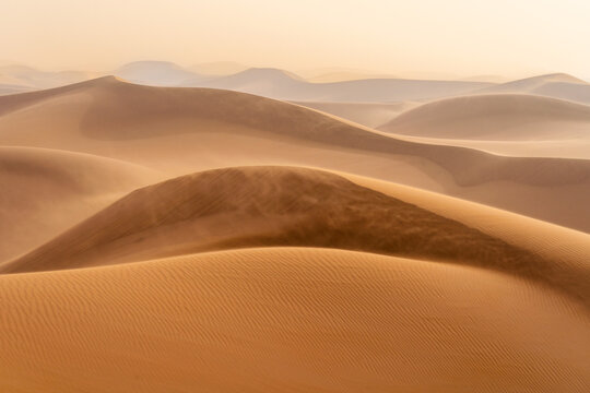 Wind Shaped Sand Dune