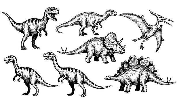 Hand drawn dinosaur sketch vector set detailed prehistoric animals vintage style illustration isolated on white background