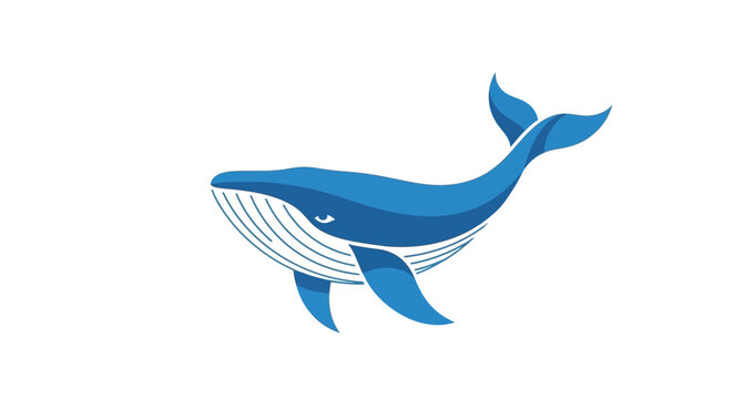 Blue Whale Marine Mammal Ocean Creature.