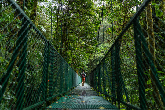 Female hiker crossing a hanging bridge in the cloud forest canopy