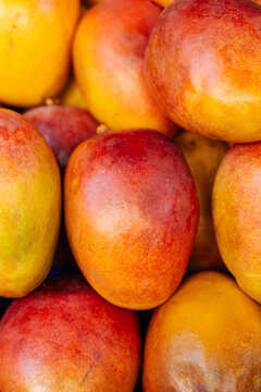 Ripe colorful mangoes close-up
